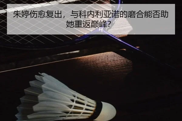 zhu-ting-shang-yu-fu-chu-yu-ke-nei-li-ya-nuo-de-mo-he-neng-fou-zhu-ta-chong-fan-dian-feng-2-832.jpg
