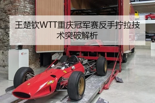 王楚钦WTT重庆冠军赛反手拧拉技术突破解析