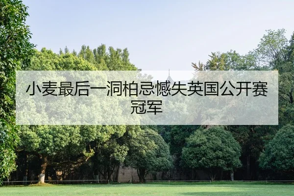 小麦最后一洞柏忌憾失英国公开赛冠军